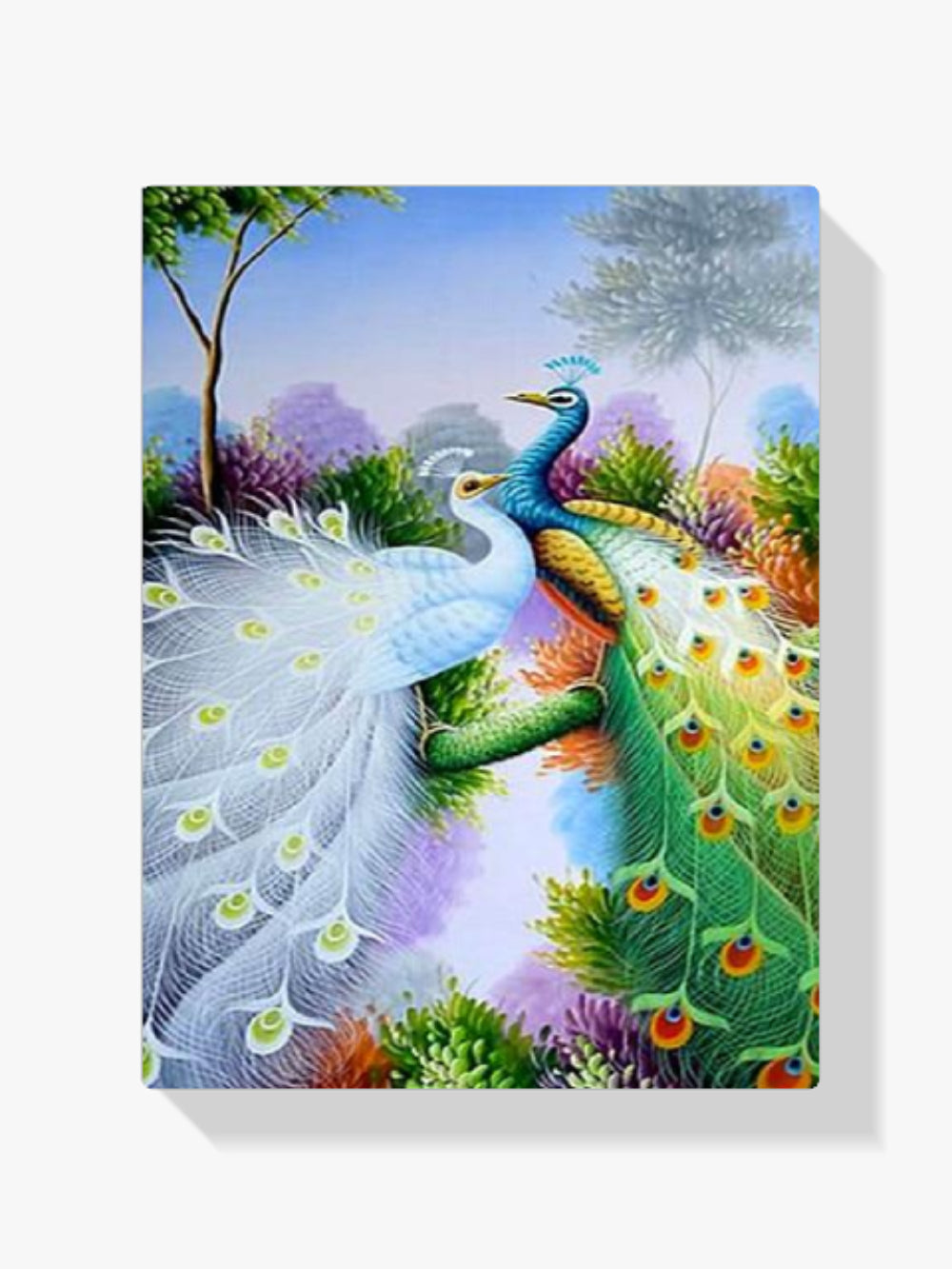 Pfau - Malen nach Zahlen