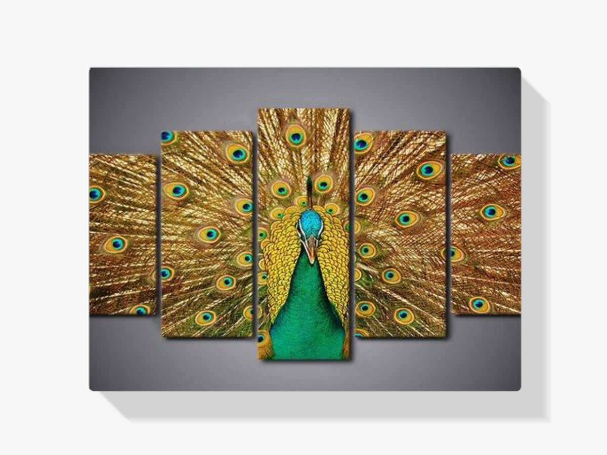 Pfau | 5 Teile - Malen nach Zahlen