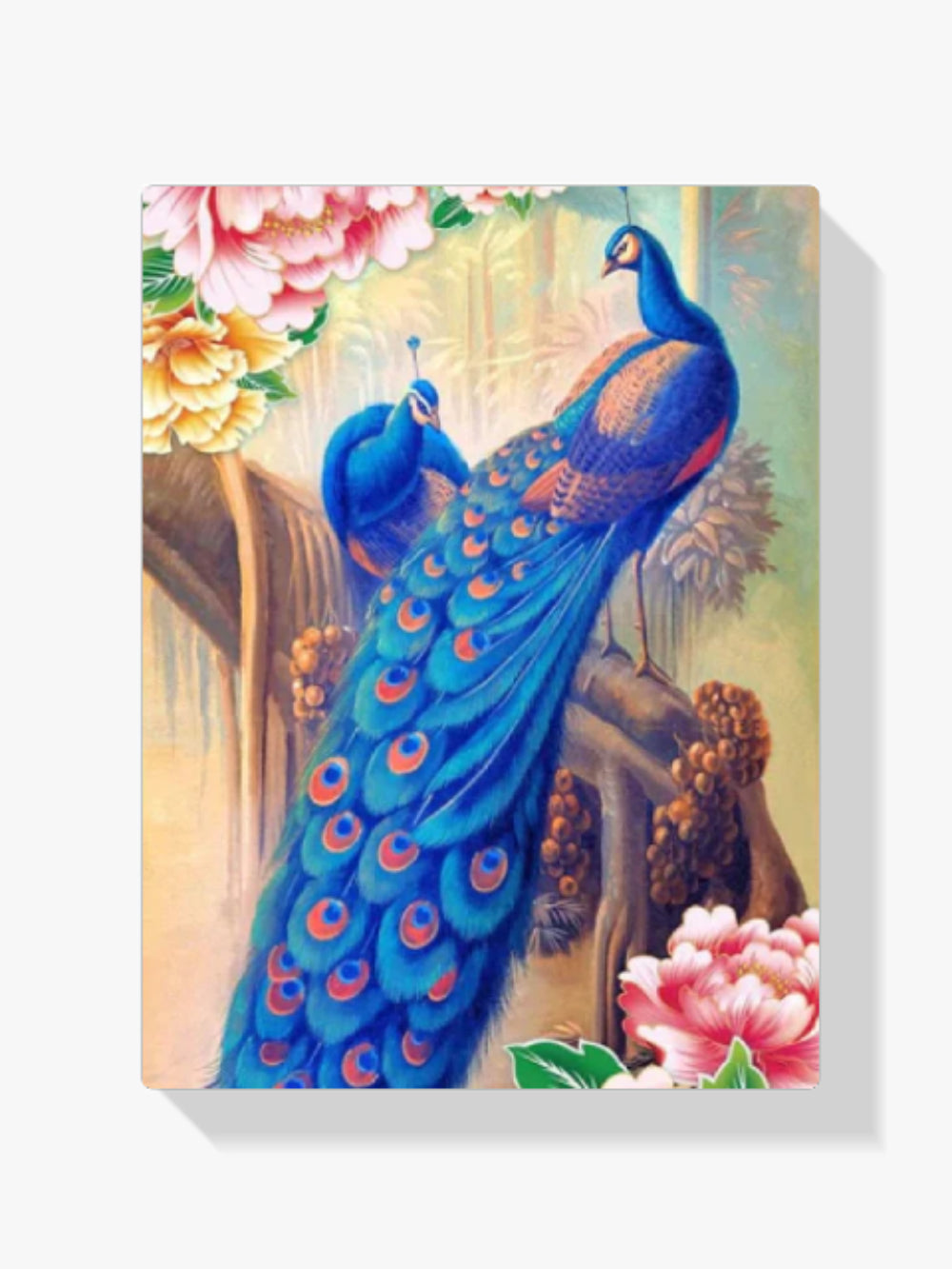 Pfaue - Malen nach Zahlen