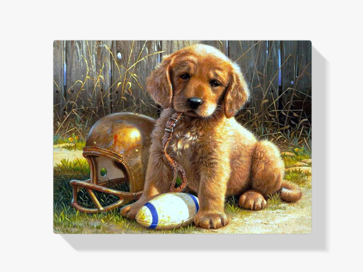 Rugby Welpe - Malen nach Zahlen