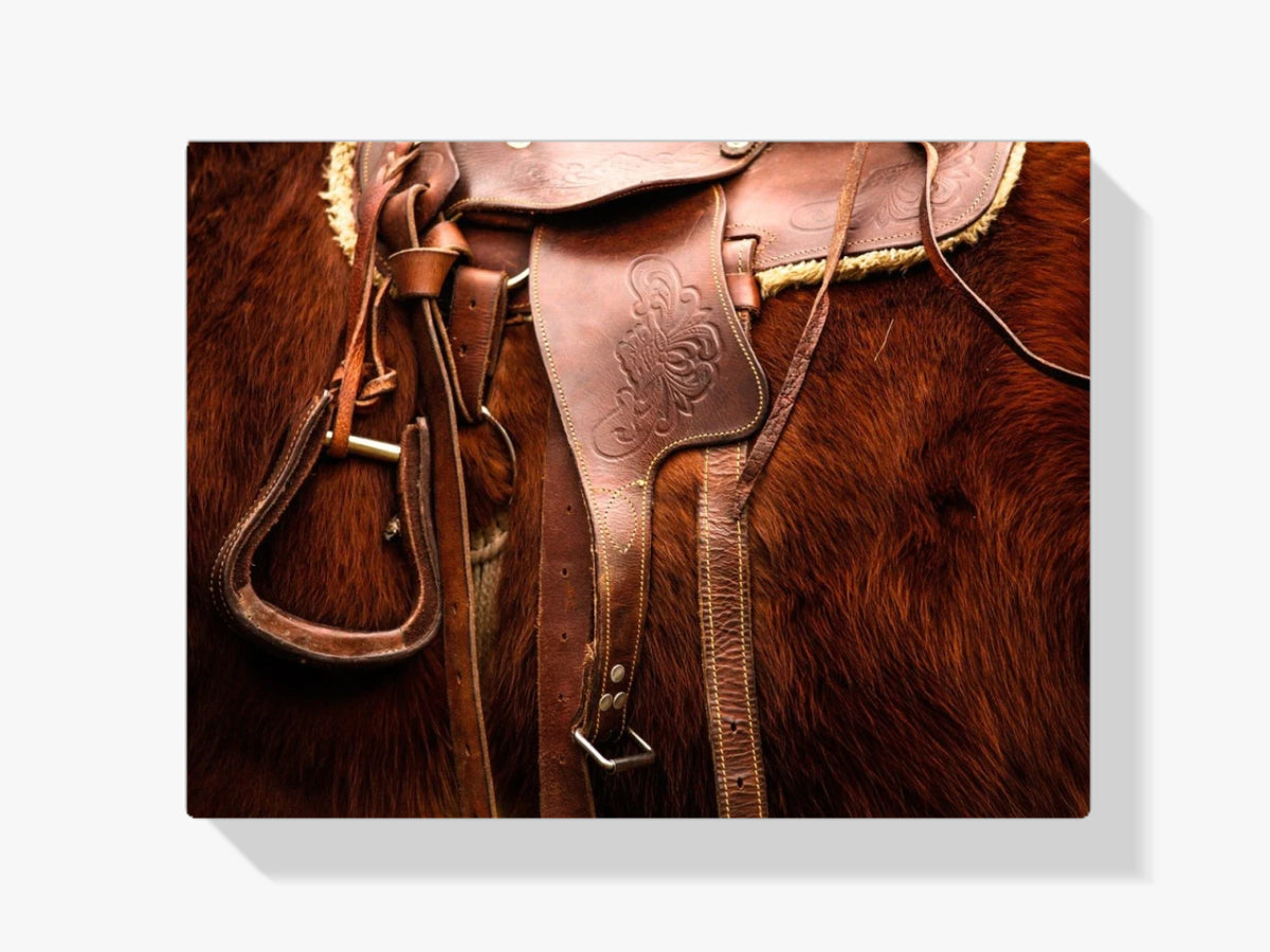 Sattel - Malen nach Zahlen