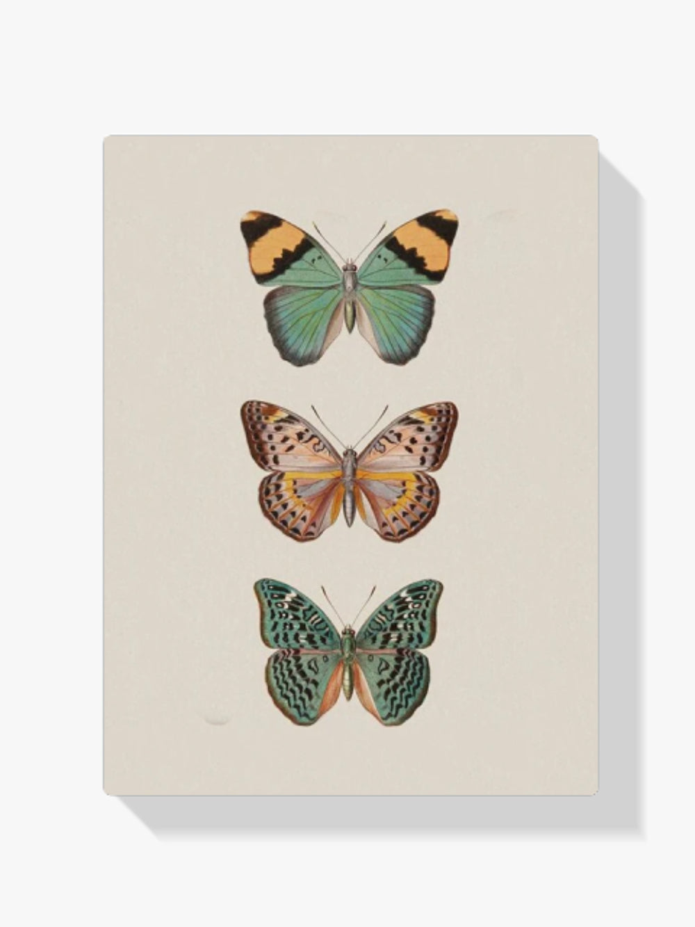 Schmetterlinge - Malen nach Zahlen