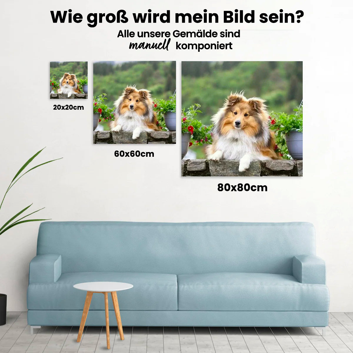 Schottischer Schäferhund - Malen nach Zahlen