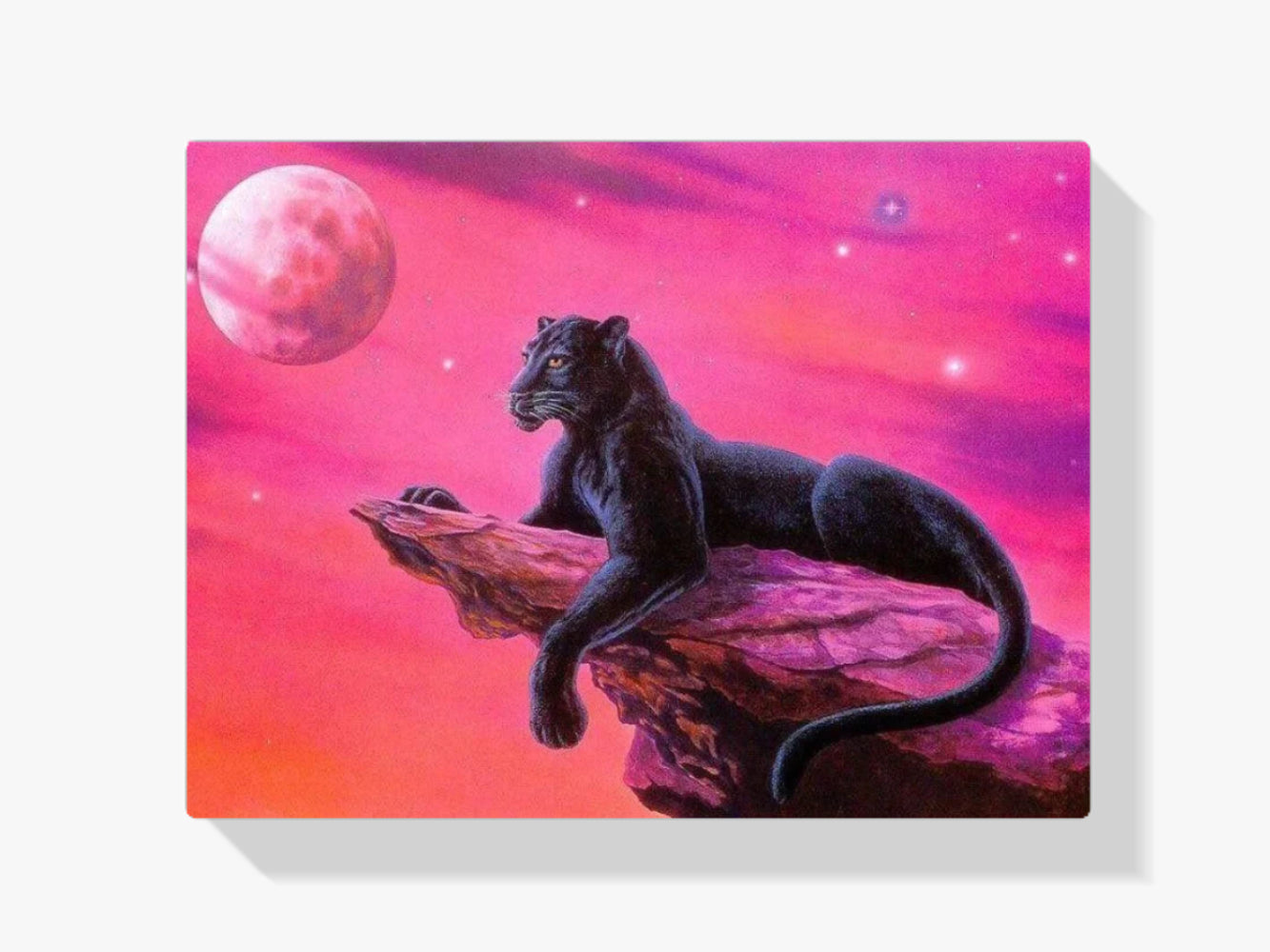 Schwarzer Panther auf einem Felsen - Malen nach Zahlen