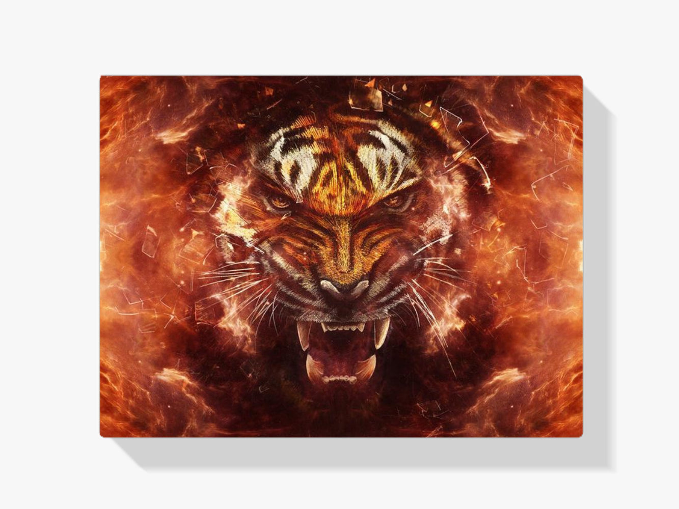 Tiger - Malen nach Zahlen