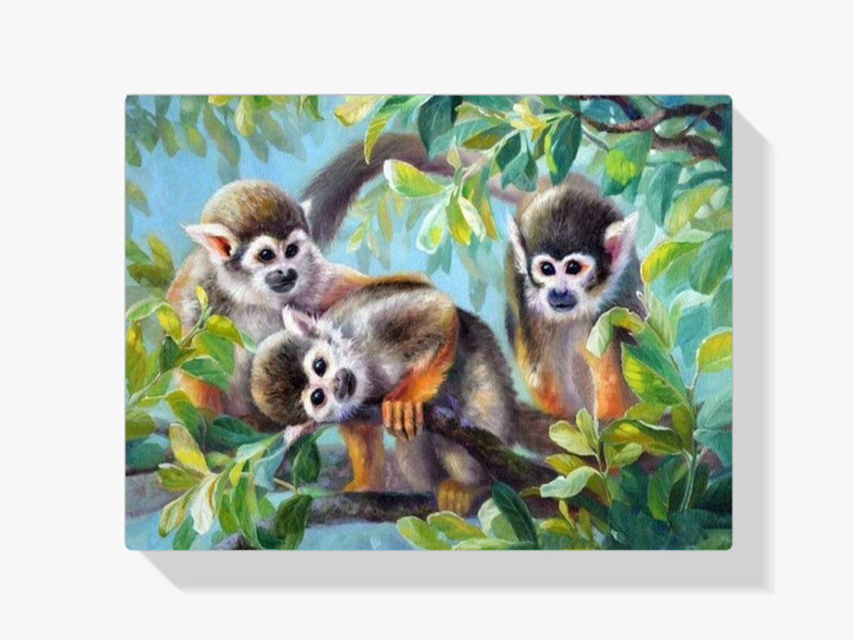 Totenkopfäffchen - Malen nach Zahlen