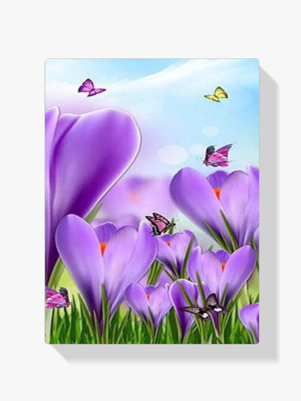 Violette Blumen Schmetterlinge | Großformat - Malen nach Zahlen