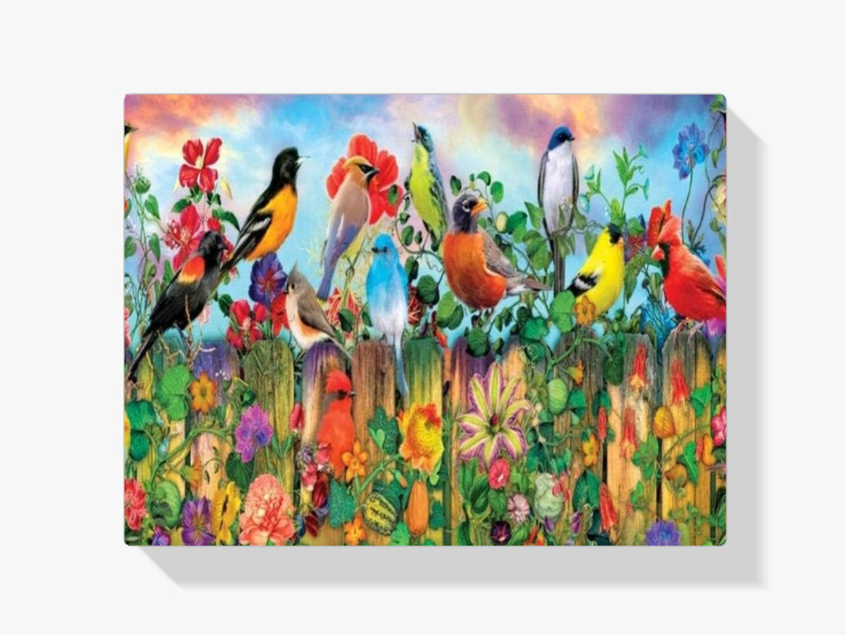 Vögel Am Zaun XL - Malen nach Zahlen