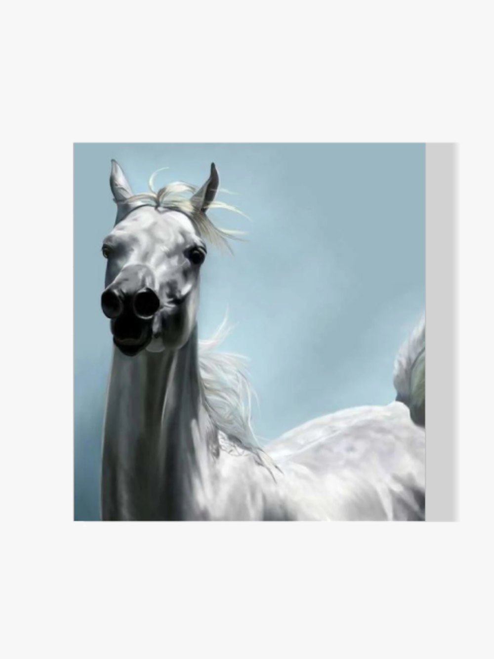 Weißes Pferd im Wind - Malen nach Zahlen