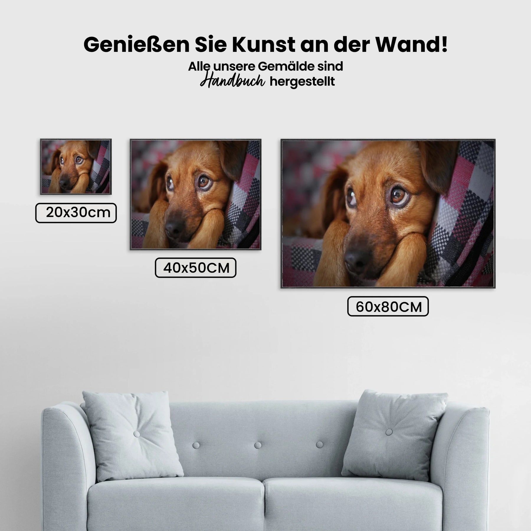 Welpen-Augen - Malen nach Zahlen