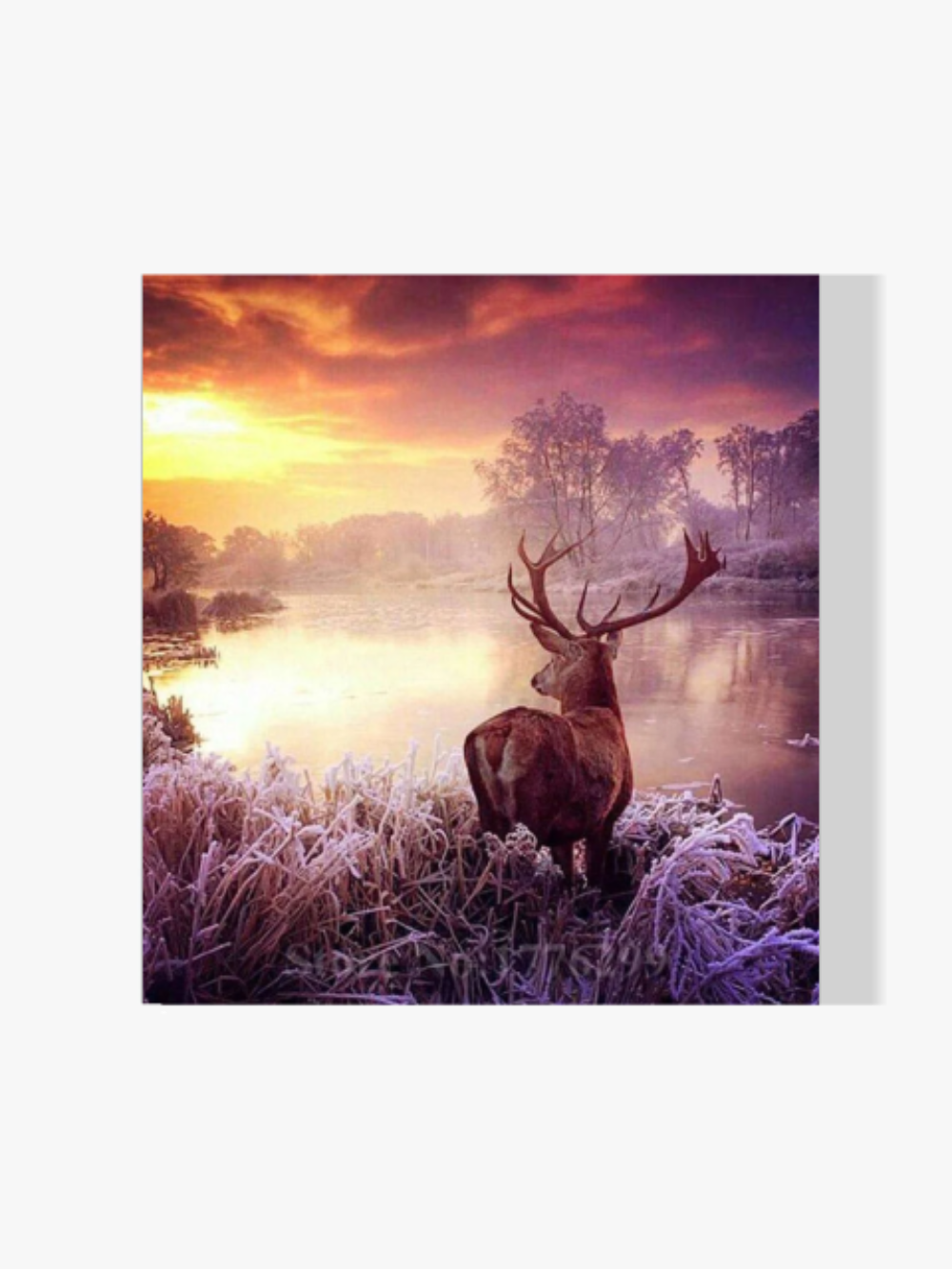 Winter Hirsch - Malen nach Zahlen