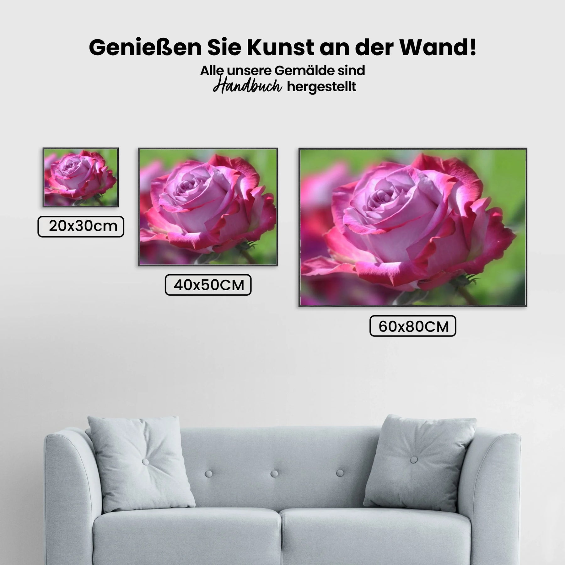 Wunderschöne rosa Rose - Malen nach Zahlen