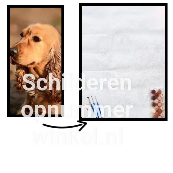 Erstellen Sie ein Bild nach Zahlen von Ihrem eigenen Foto ????️ ????