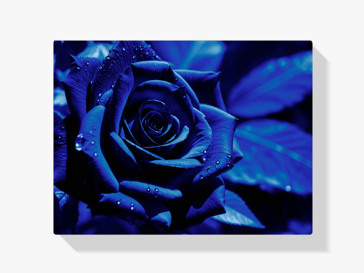 Blaue Rose - Malen nach Zahlen