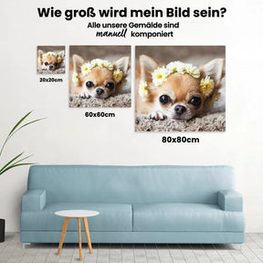 Chihuahua - Malen nach Zahlen