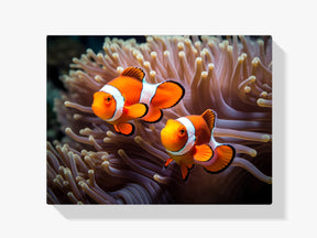 Clownfisch - Nemo - Malen nach Zahlen