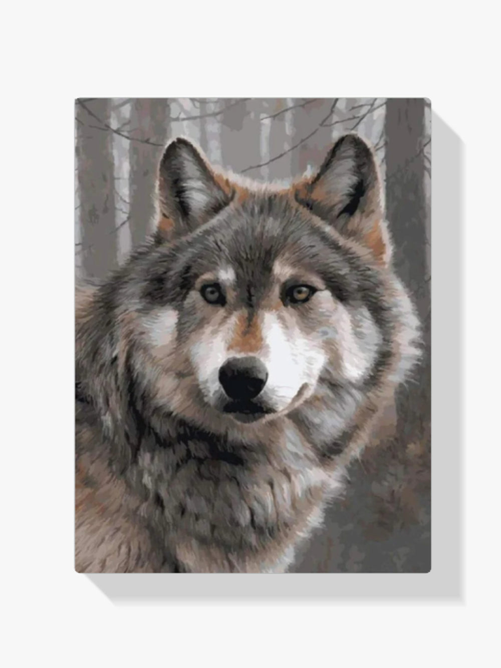 Der Graue Wolf - Malen nach Zahlen
