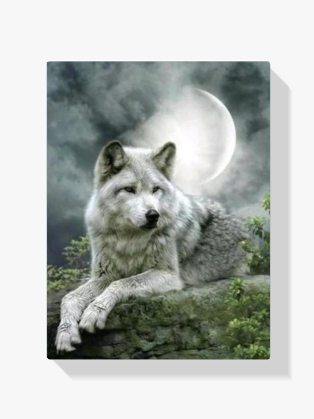 Der schöne Wolf bei Mondschein - Malen nach Zahlen