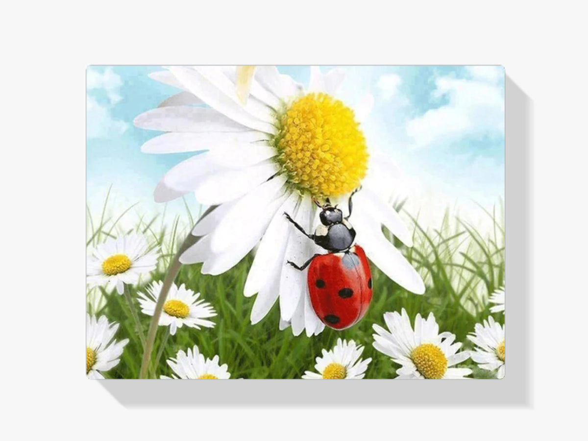 Gänseblümchen - Marienkäfer - Malen nach Zahlen