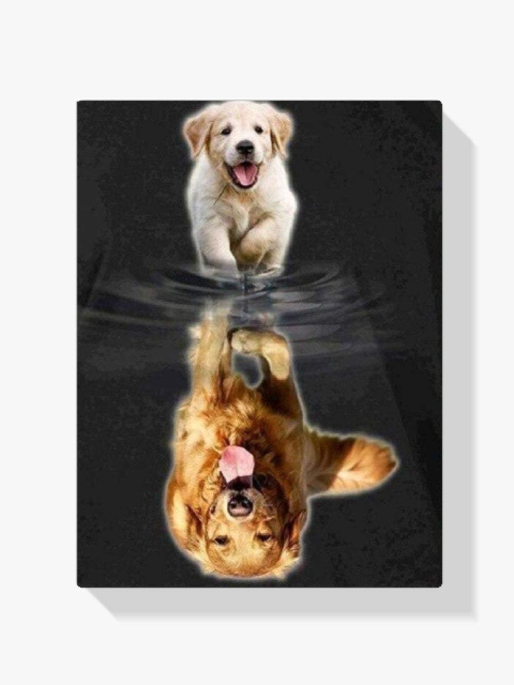 Golden Retriever - Malen nach Zahlen