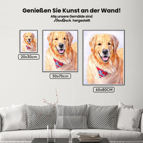 Golden Retriever - Malen nach Zahlen