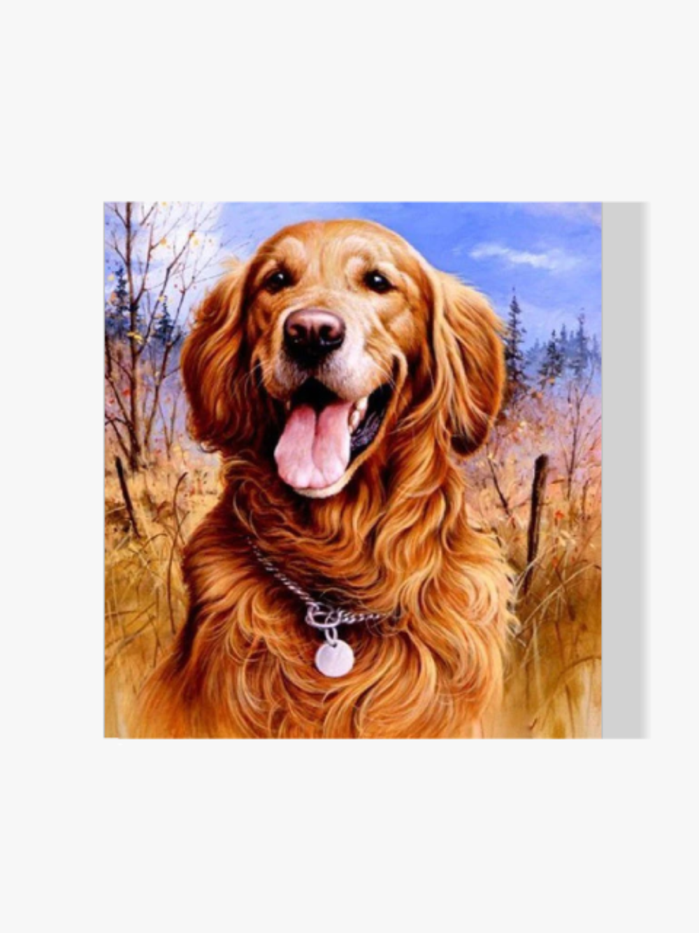 Golden Retriever - Malen nach Zahlen