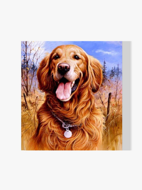 Golden Retriever - Malen nach Zahlen