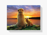Hund und Katze bei Sonnenuntergang - Malen nach Zahlen
