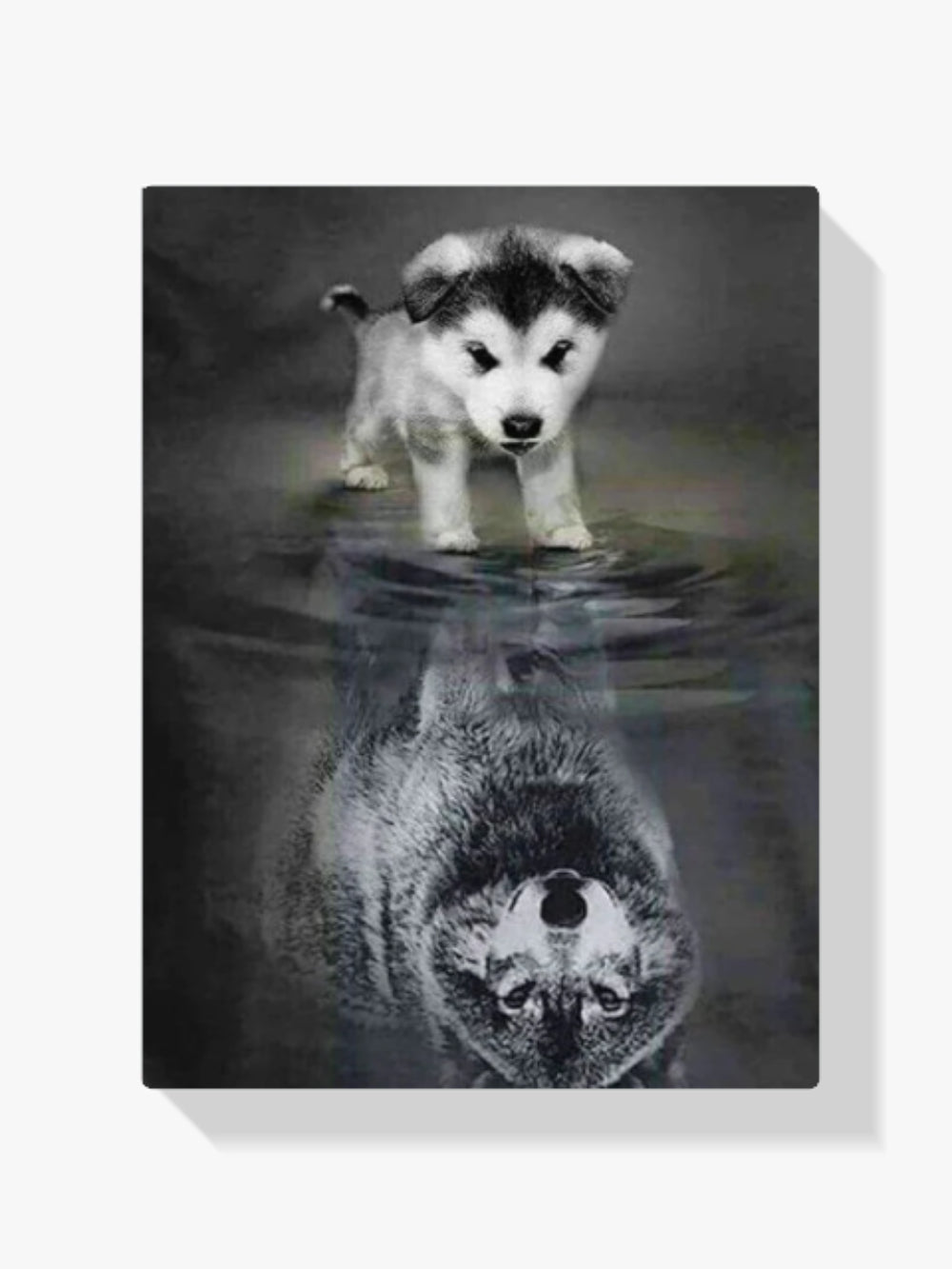 Hunde Wolf Spiegelung - Malen nach Zahlen