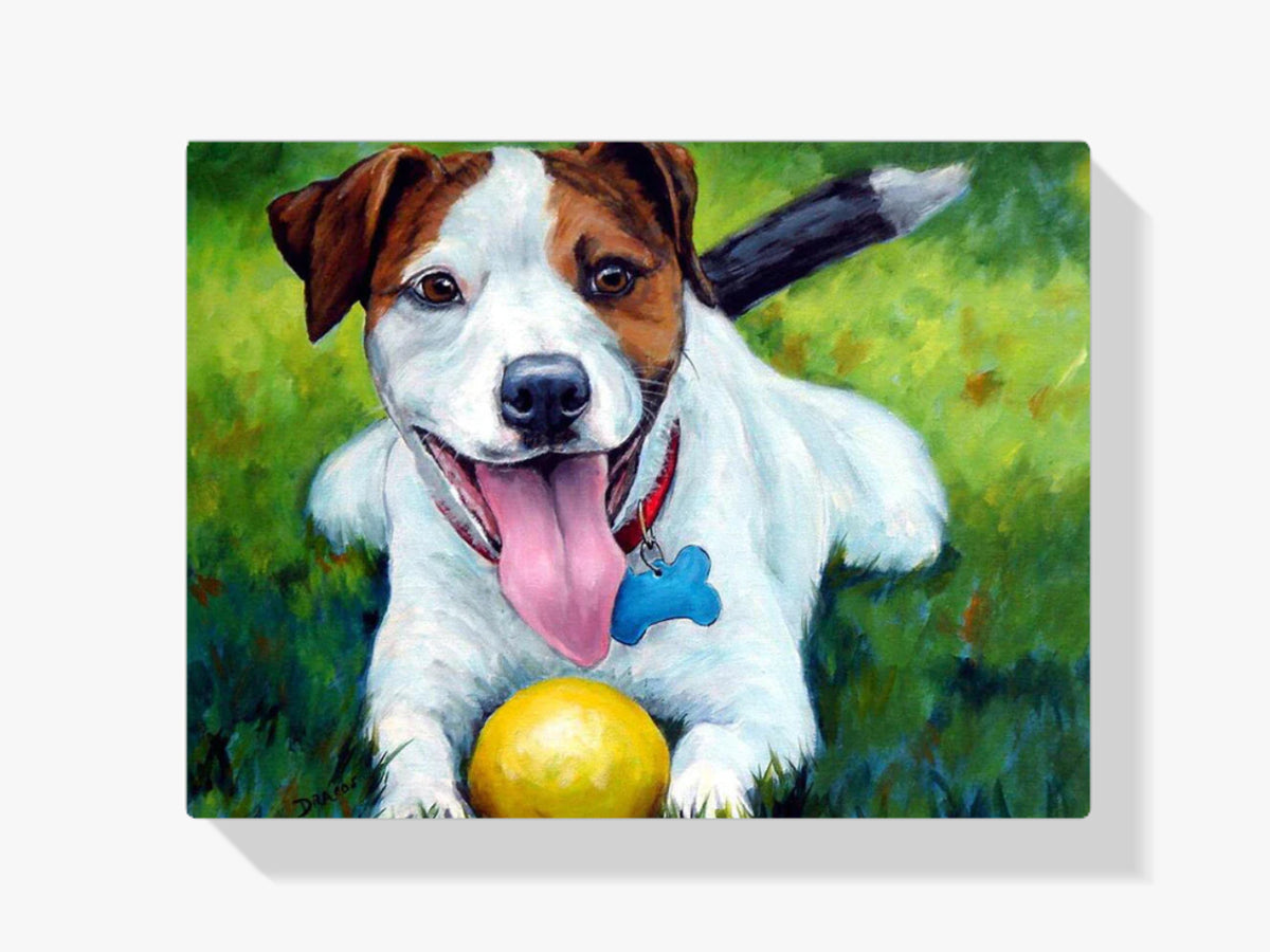 Jack Russell - Malen nach Zahlen