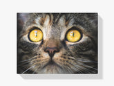 Katze Close Up - Malen nach Zahlen