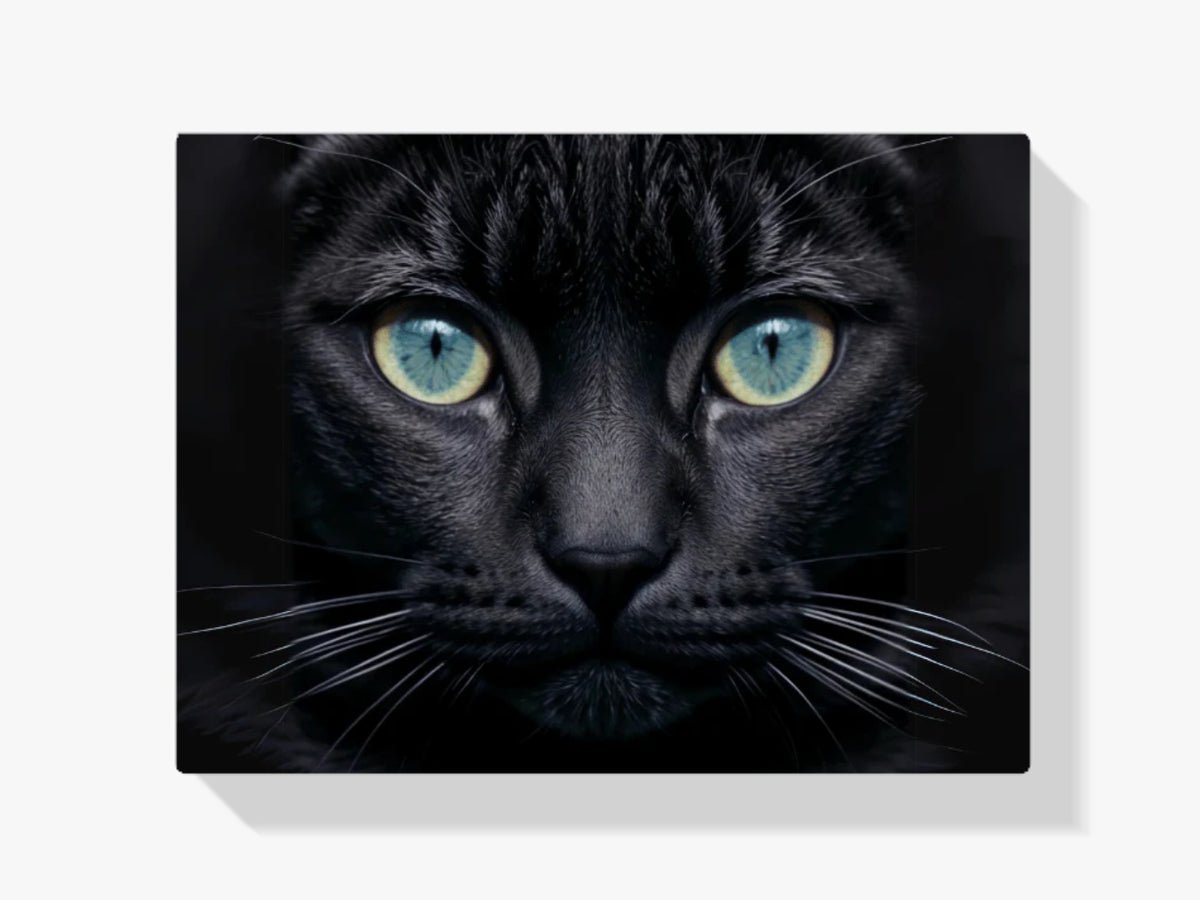 Katze - Malen nach Zahlen
