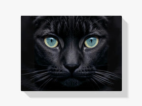 Katze - Malen nach Zahlen