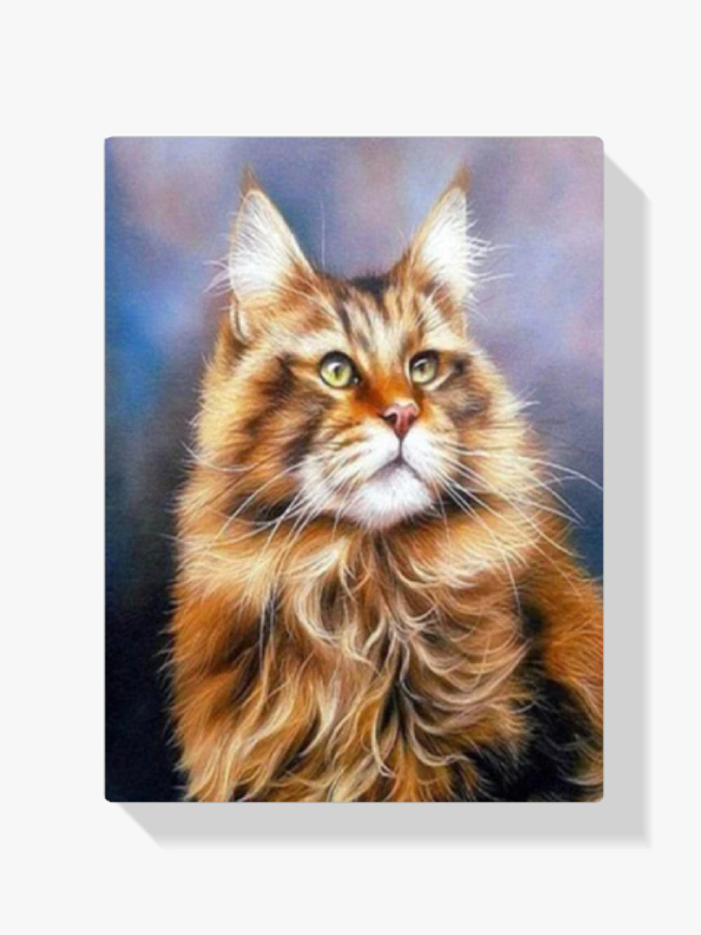 Katze - Malen nach Zahlen