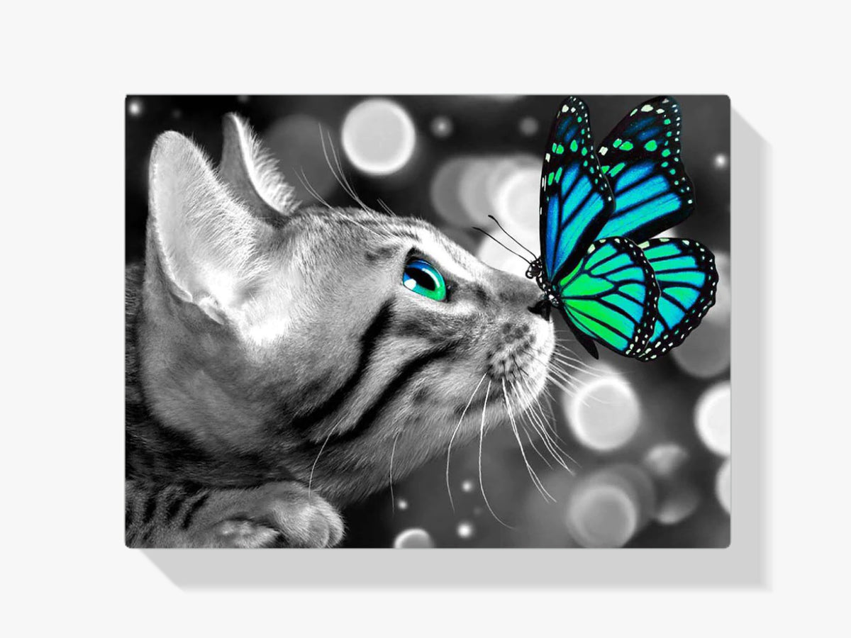 Katze - Schmetterling - Malen nach Zahlen