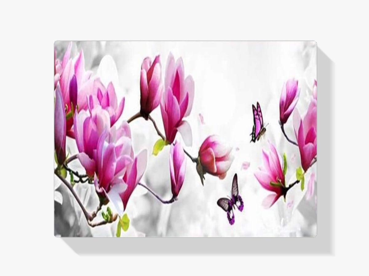 Magnolie - Schmetterlinge XL - Malen nach Zahlen