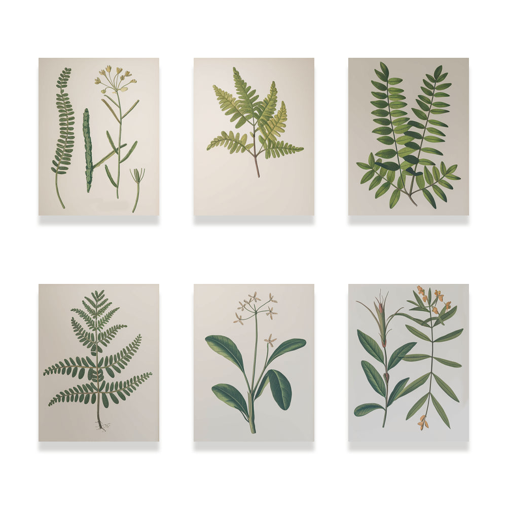 Malen nach Zahlen &#8211; 6 Mini-Gemälde Botanische Pflanzen 2.0 Ausgabe-Set-1