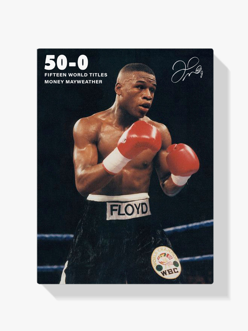 Malen nach Zahlen &#8211; Floyd Mayweather