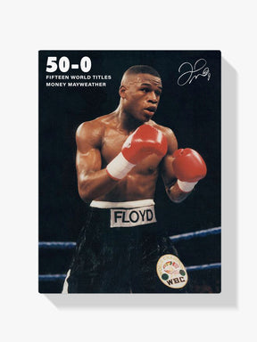 Måla efter siffror - Floyd Mayweather