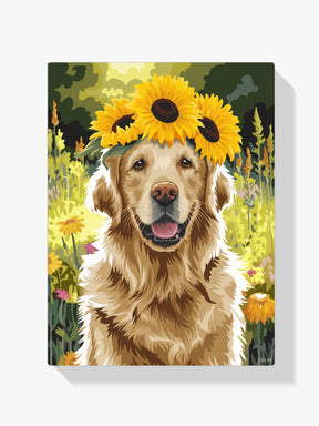 Måla efter siffror - Golden Retriever med solroskrona