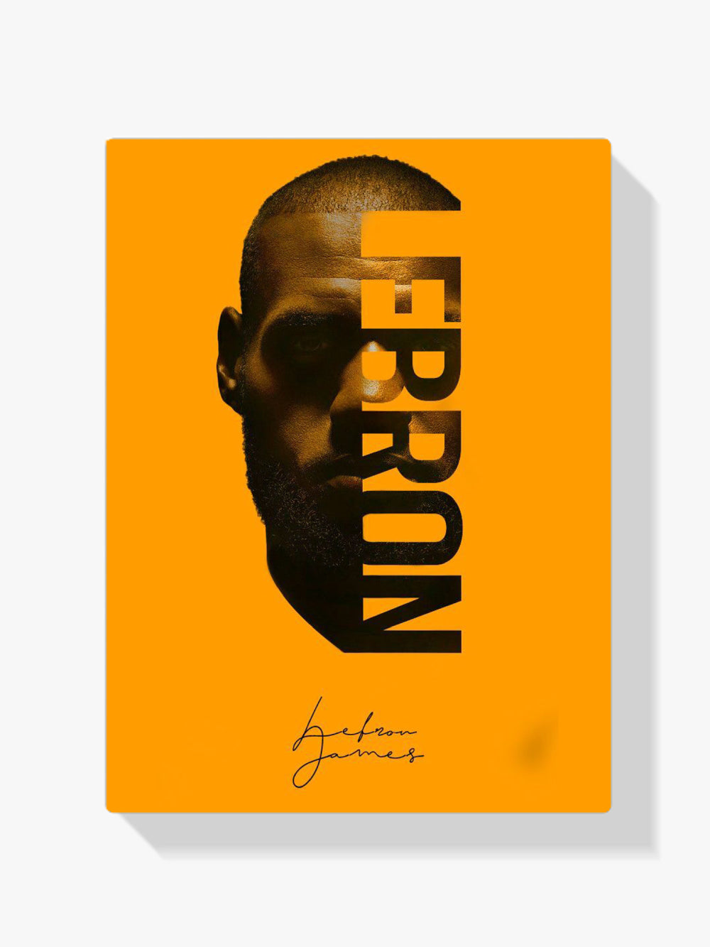 Malen nach Zahlen &#8211; Lebron James
