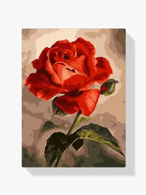 Malen nach Zahlen – Abstrakte Rose