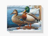Malen nach Zahlen – Besucher im Winter