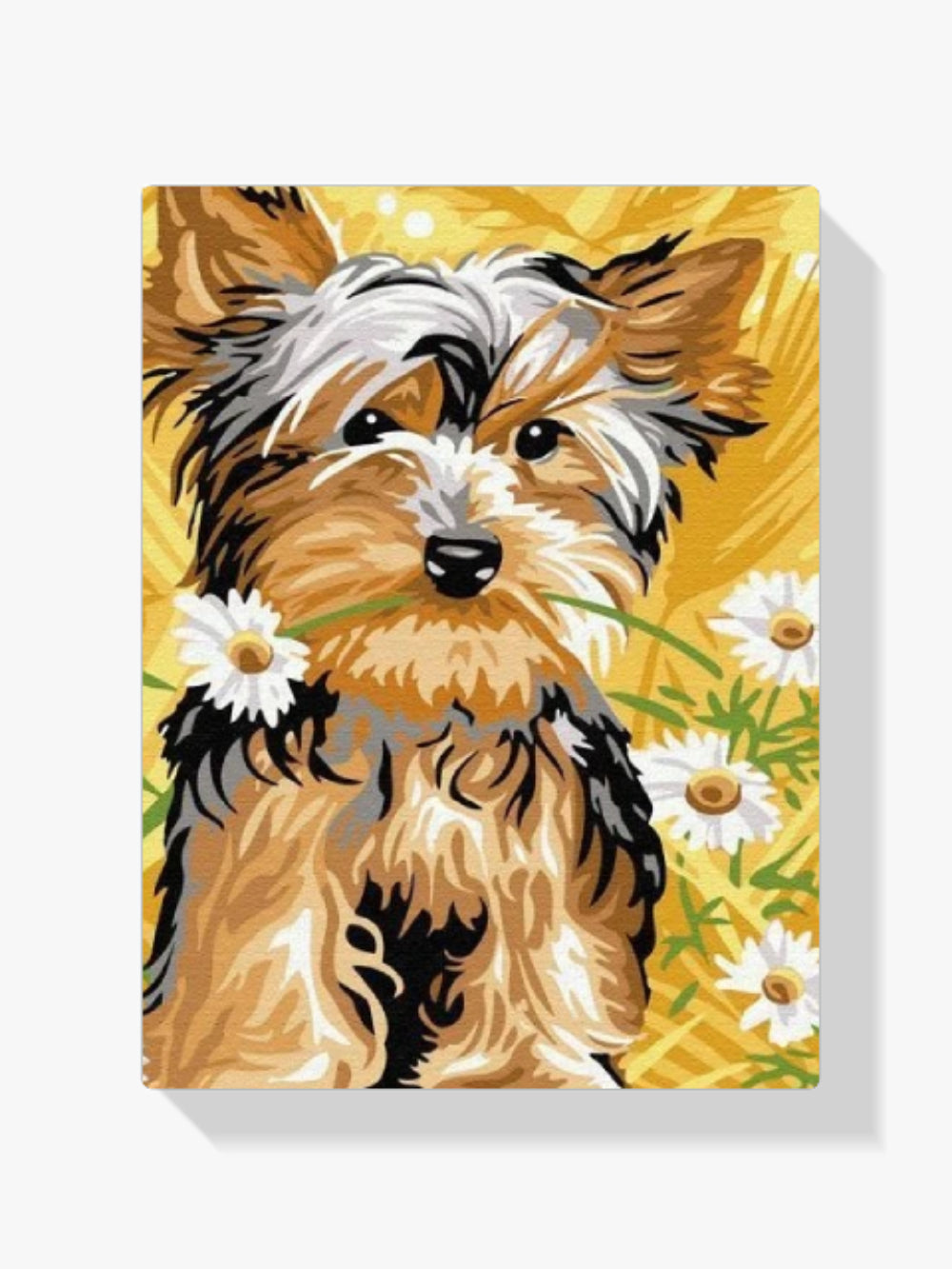 Malen nach Zahlen – Blume Yorkie
