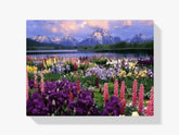 Malen nach Zahlen – Blumen im Feld