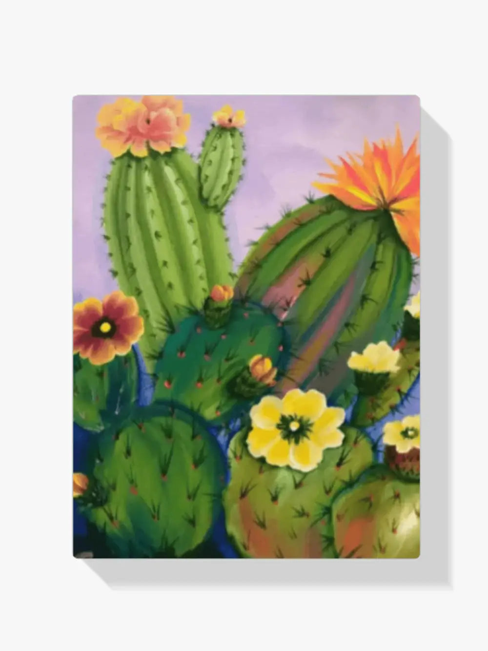 Malen nach Zahlen – Blumen und Kakteen
