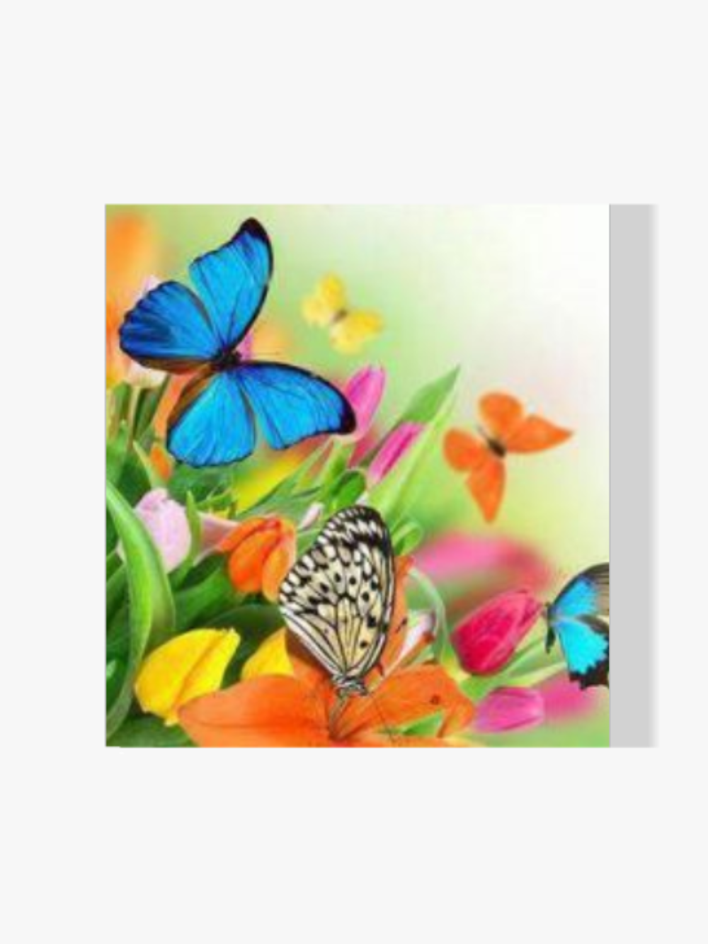 Malen nach Zahlen – Blumen und Schmetterlinge