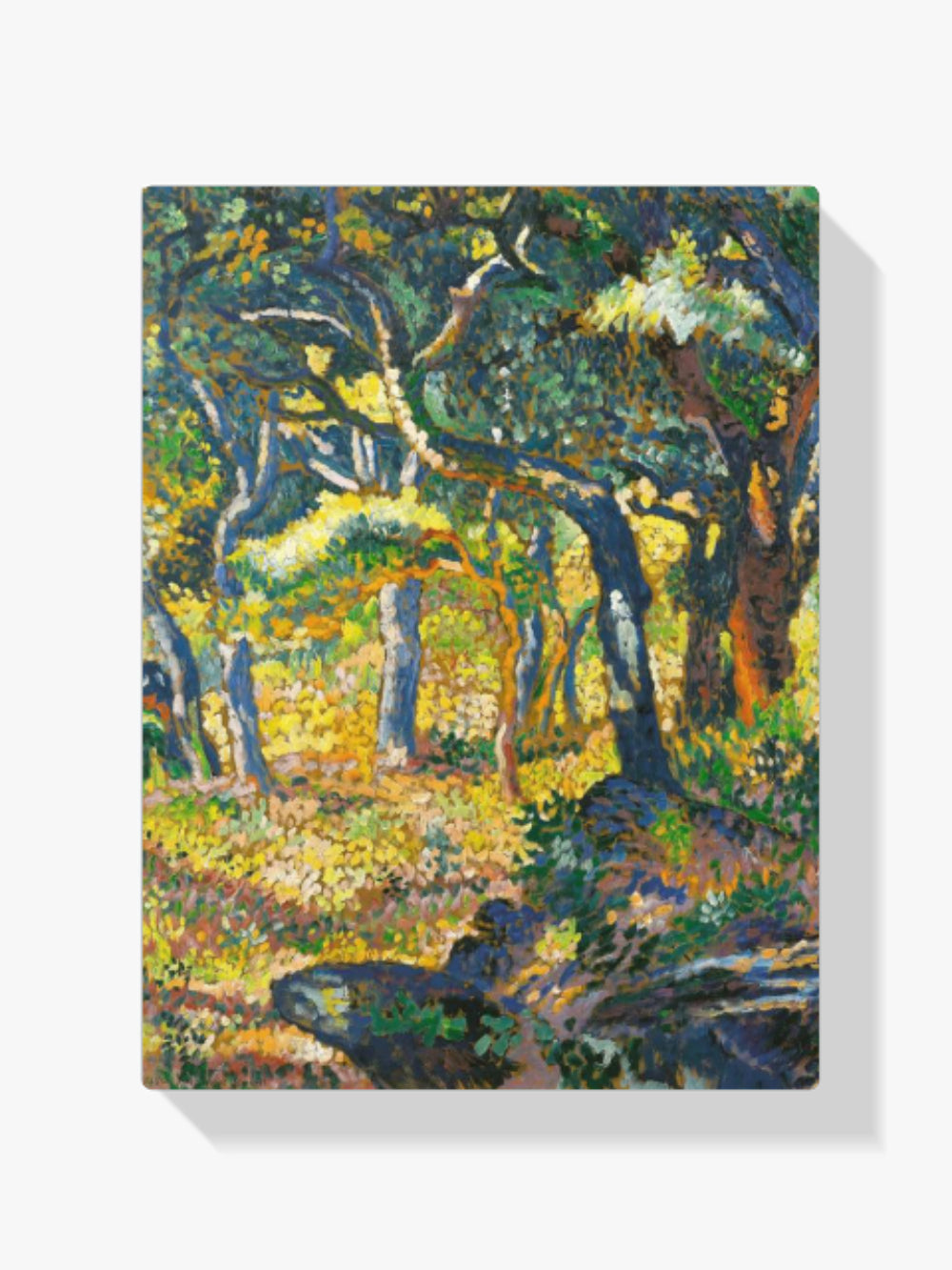 Malen nach Zahlen – Ein kleines Paradies in der Provence