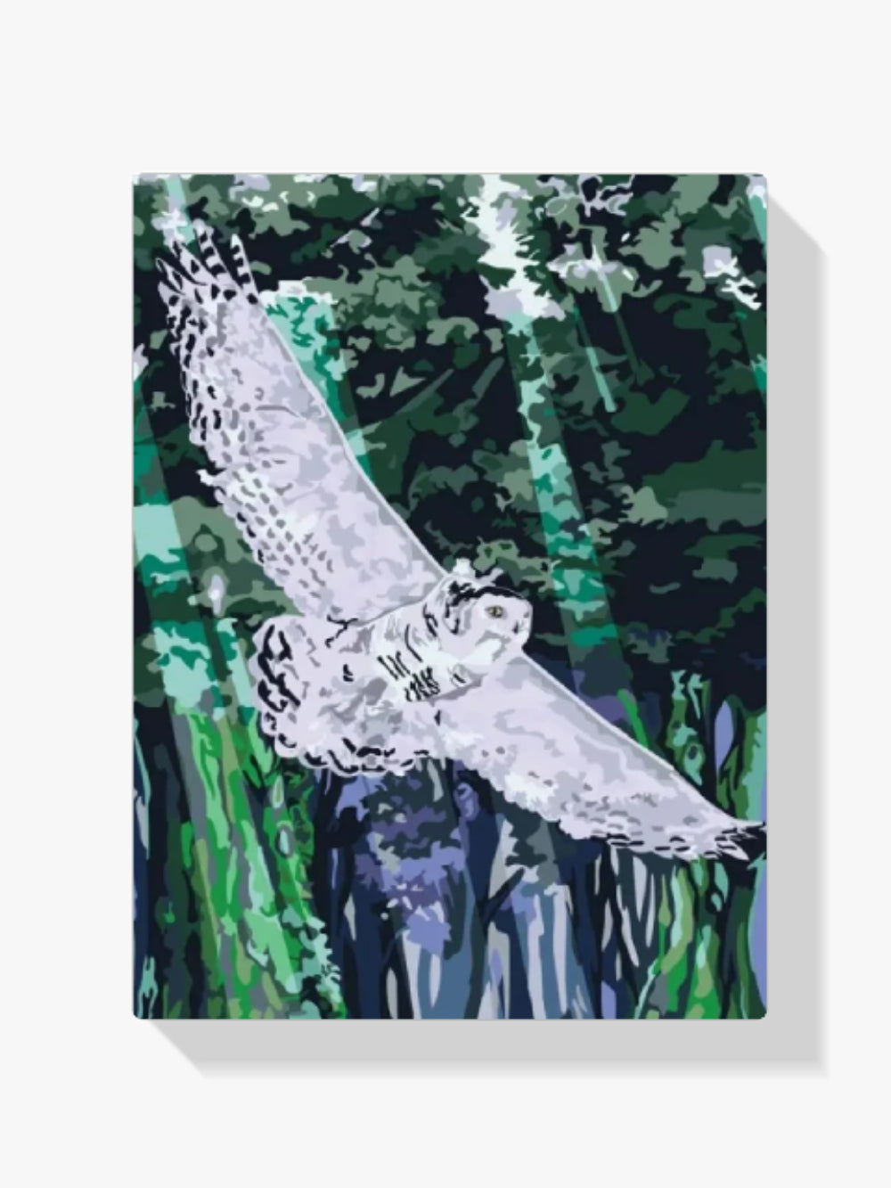 Malen nach Zahlen – Eule im Flug