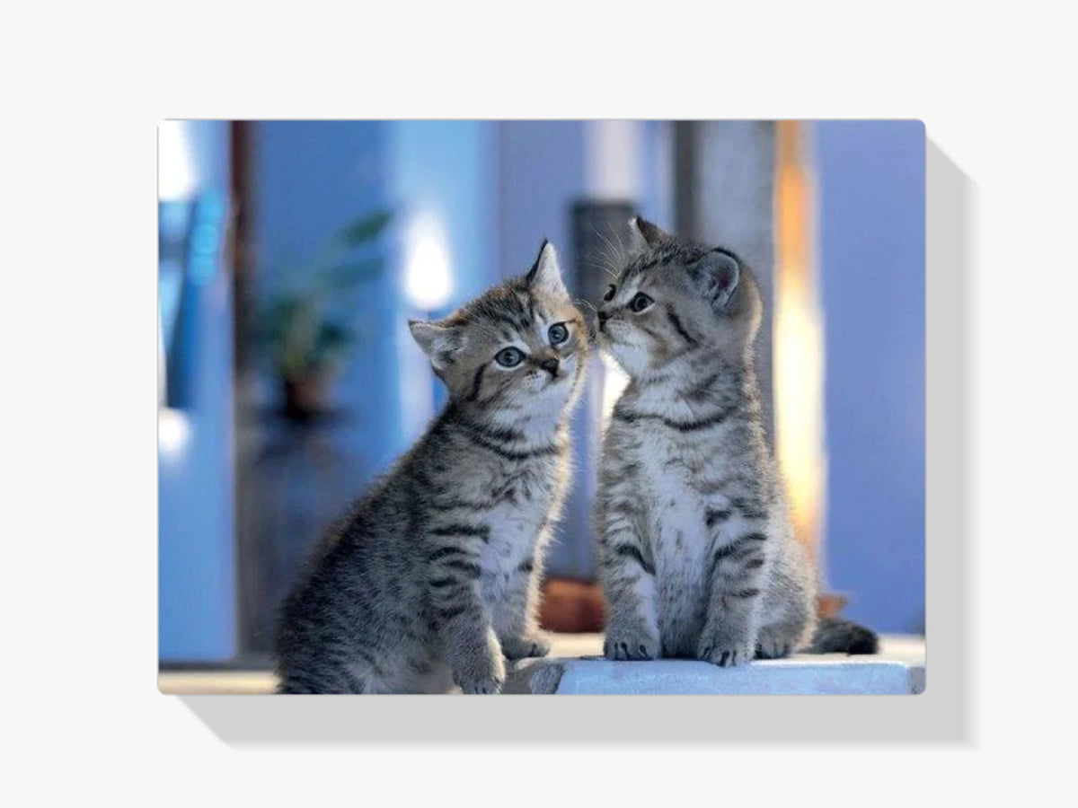 Malen nach Zahlen – Familie Katzen